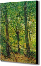 Trees and Undergrowth by Vincent Van Gogh - Canvas Wall Art Framed Print 
