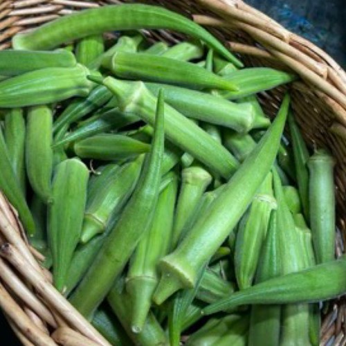 Okra seeds clemsons - okra,