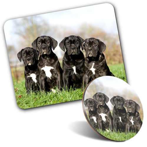 Mouse mat 1 round coaster - &,
