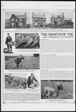 1909 * AGRICULTURE Small