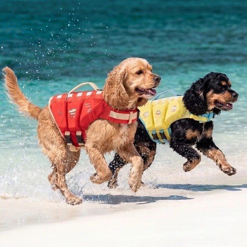 Adjustable float life jacket - float,