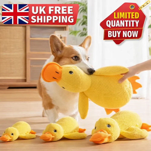 Pet dog chew toys - chew,