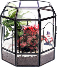 Large Glass Terrarium