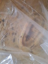 Unbranded Underlay 8mm last