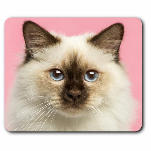 Computer mouse mat - mouse, birman