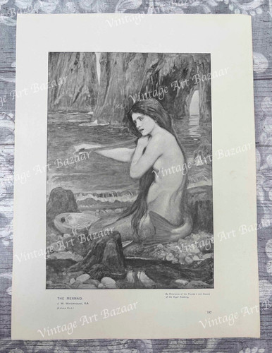 Mermaid girl woman - mermaid, john
