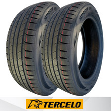 X2 245/45R18 100W TERCELO