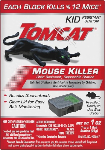 Tomcat mouse killer - mouse, child