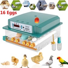 16 Eggs Digital Incubator Egg