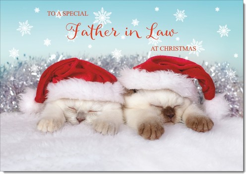 Doodlecards father law - doodlecards, father-in-law