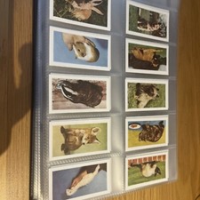 A24 Hornimans Tea/Trading