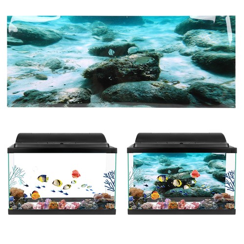 Aquarium background poster - background,