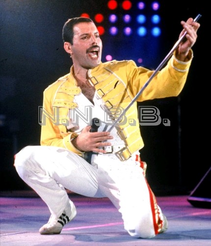 Freddie mercury queen x - freddie,