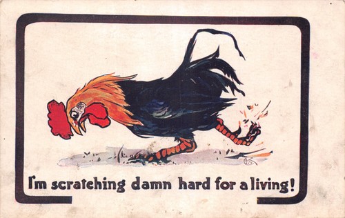 Old comic postcard cockerel - comic,