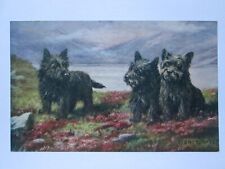 Three Black West Highland Terriers Vintage Dog Postcard B23