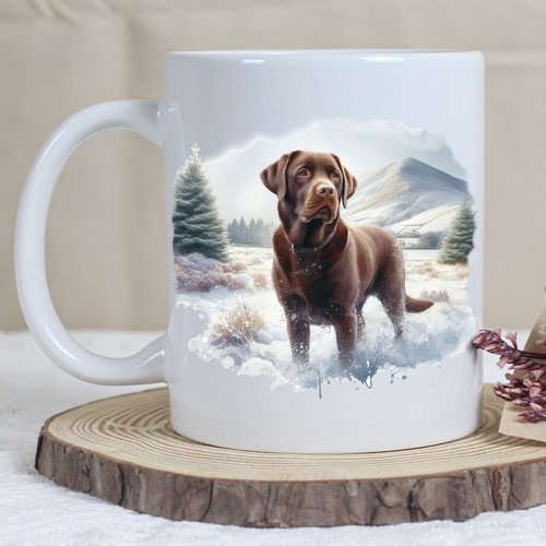 Chocolate labrador dog winter - chocolate,