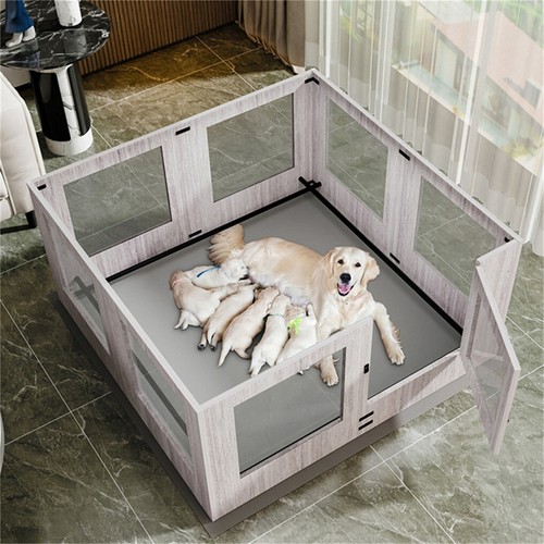 Tempered glass pet - tempered,