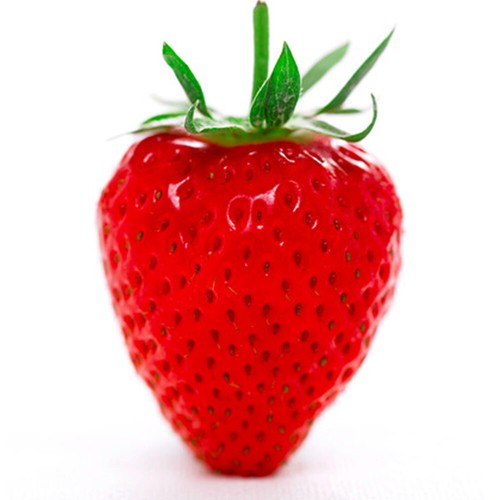 Strawberry cambridge - 1,