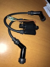 Ignition Coil & Leads 15HP