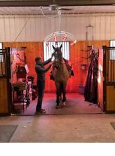 12 Lamp Solarium SilverShadow Horse Solarium including free delivery Sale now on