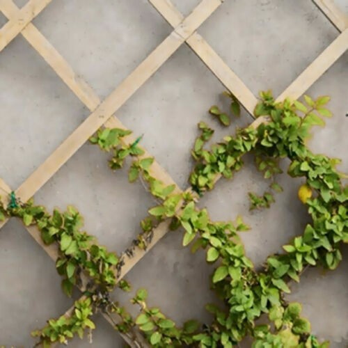 Expanding wooden garden - expanding,