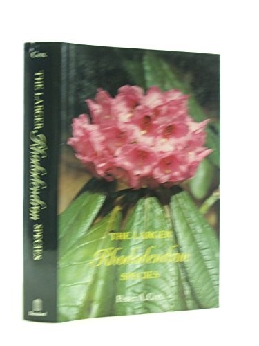 Larger rhododendrons cox - larger,