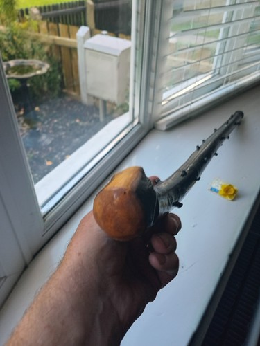Irish blackthorn stick - irish,