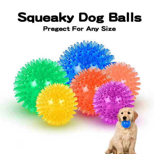 Dog squeaky spiky balls - squeaky, puppy