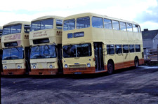 Bus slide & Copyright MOFFAT & WILLIAMSON WBD764H