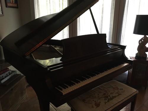 Steinway baby grand piano - baby,