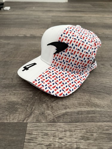 2025 lando norris silverstone - lando,