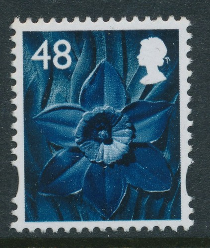 W104 xw68 48p daffodil - w104, wales