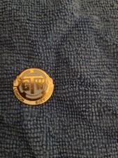 Vintage TGW Union Badges General Workers Union Pin Badge (London Busworker)