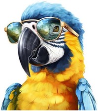 Blue gold macaw - blue, bird