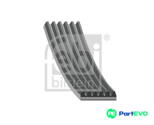 Febi bilstein ribbed belt - v-ribbed,