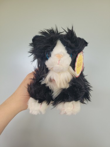 Black white kitten - black,