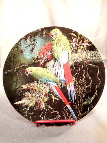 Bone china plate - china,