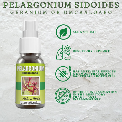 Pelargonium sidoides - pelargonium,