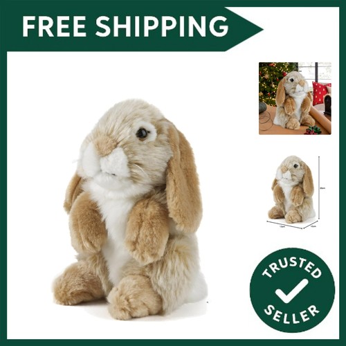 Brown sitting lop - brown, eared