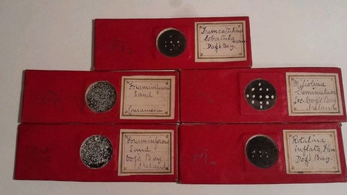 Five fine antique - fine,