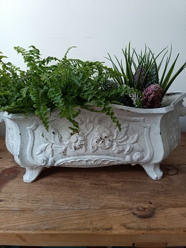 Antique french cast jardiniere - french,