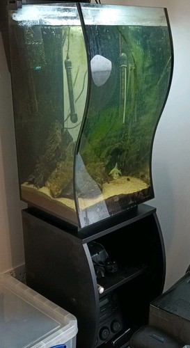 Interpet aqua curve led - curve, 62
