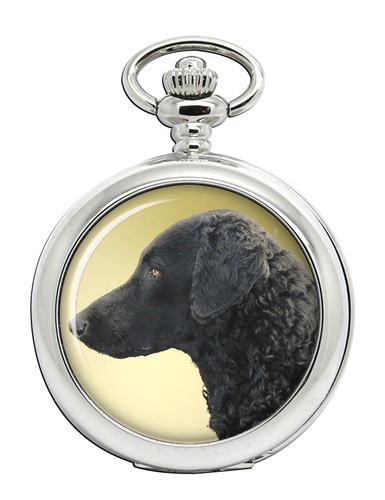 Curly coated retriever - coated, pocket