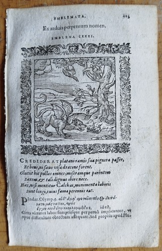 Dragon arduis alciatus - dragon,