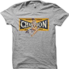 VINTAGE BIKER Pinup Girl