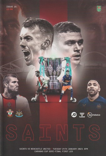 Southampton newcastle united - southampton,