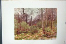 Original Old Vintage Print