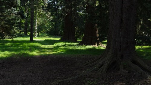 Photo 6x4 scone palace near - scone,