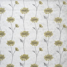 Ashley Wilde Nedla Dijon