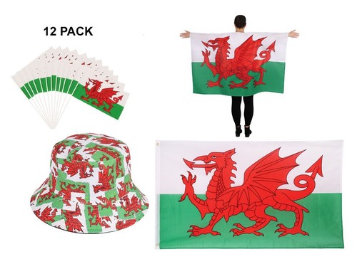 Euros wales welsh dragon flag - welsh,